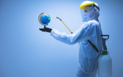 Retour sur les activités de l’été